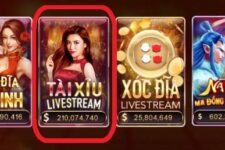 Tài xỉu Livestream Nhatvip – Game tài xỉu hàng đầu làng game